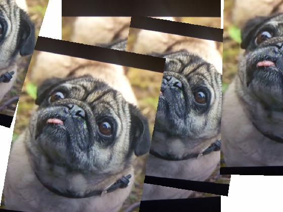 The Pug Multiplier 1 1