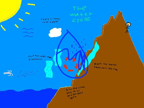 The water cycle 1