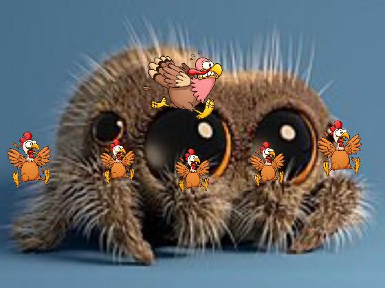 spider turkys