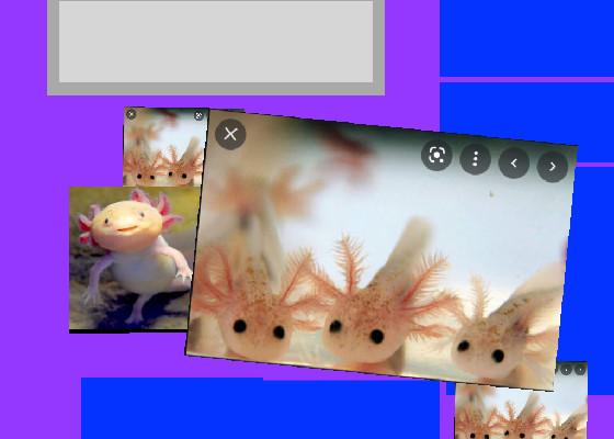 axolotl clicker 1