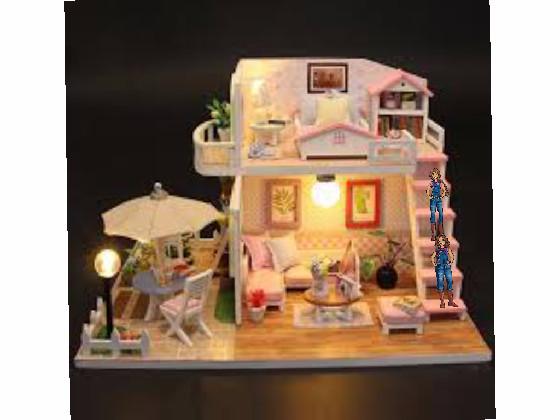 Yet another doll house!