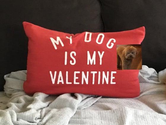 Valentine 🐶