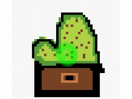 color cactus catastrophe