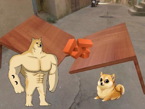 doge our table its broken 1