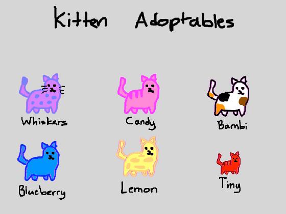 Kitten adoptables!