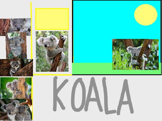 Koala clicker  