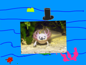 dress up axolotl