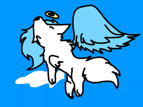 Angel Wolf Animation