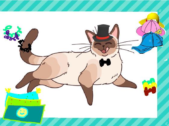 Dress Up Cat