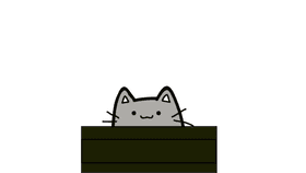 cat box