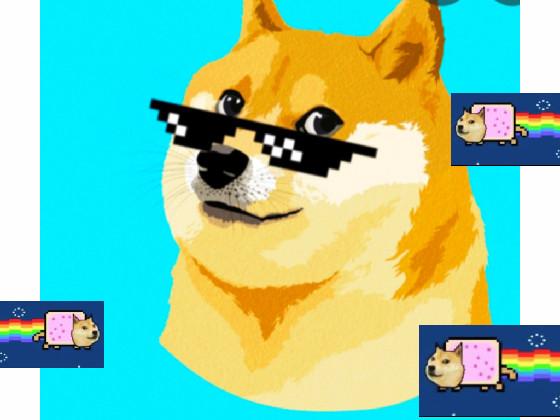 Doge boys