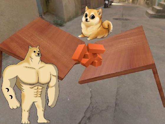 doge our table its broken 1