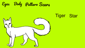 create your warrior cat