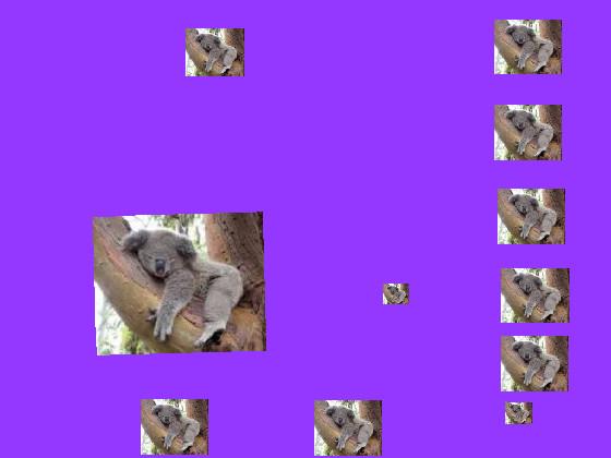 KOALA CLICKER