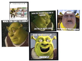 the memes of shrek lol