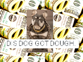 dog very rich