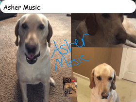 Asher Music 1