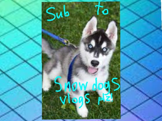 snow dogs vlogs