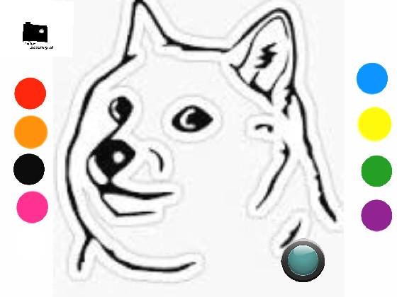 design a doge!