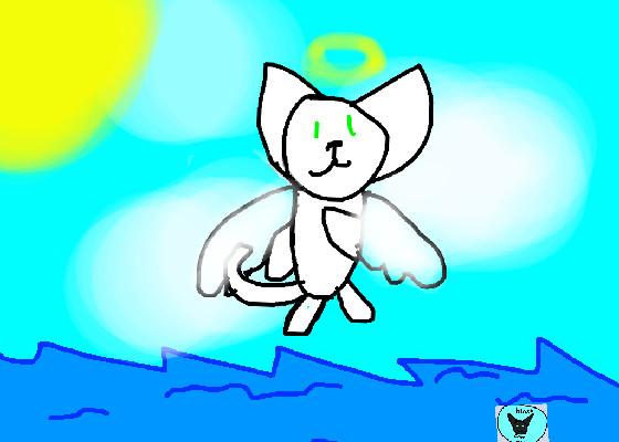 Angel cat