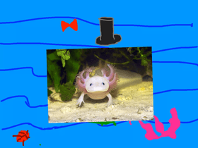 dress up axolotl