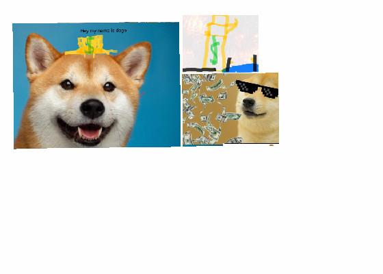 doge rich story - copy