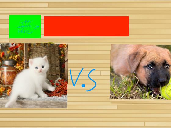 cats vs dogs