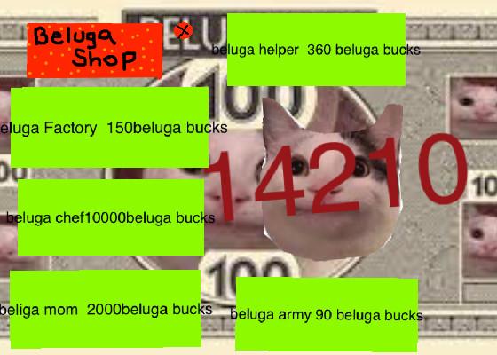 beluga bucks