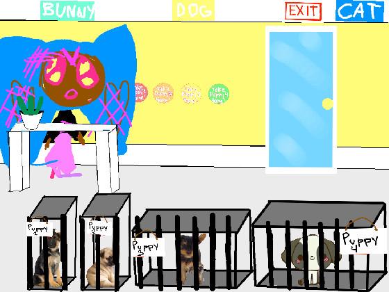 The pet shop! 1