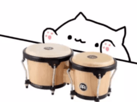 Bongo Cat Meme