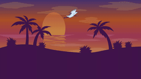 Sunset