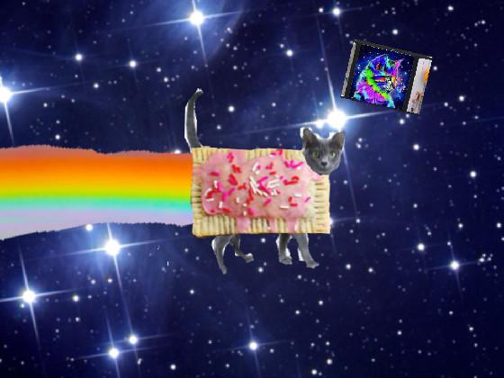 Real nyan cat 1