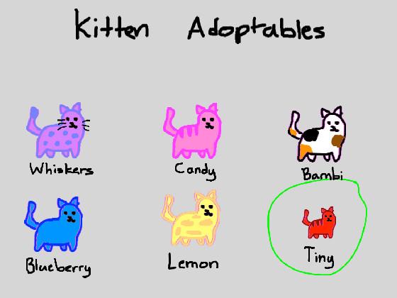 Kitten adoptables! 1