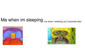 Meme.3/the sleeping meme