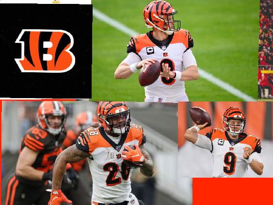 bengals