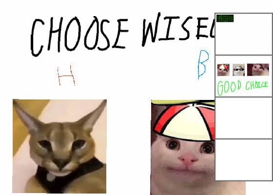 Choose Wisley or else…. 1