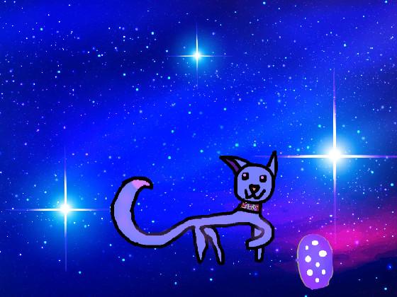 Star The Galaxy Cat