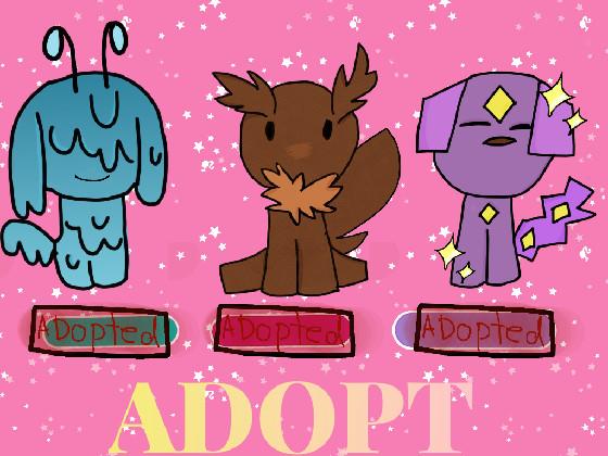 Adoption Center :3 1