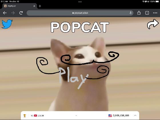 POP CAT 