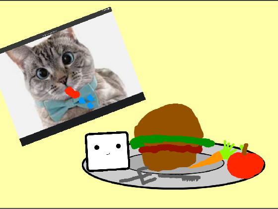 Food and the hungry cat