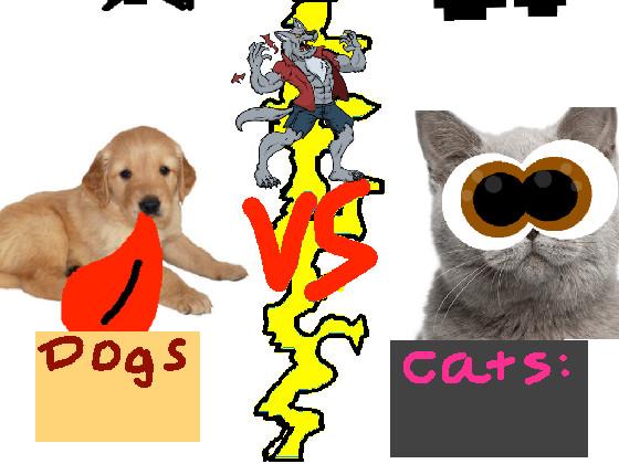 Dogs vs Cats!!🐈🐕 1