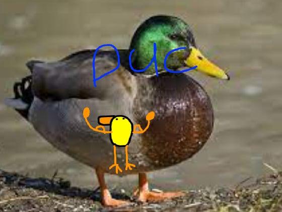 ducgoes quack