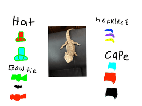 dress up a lizard