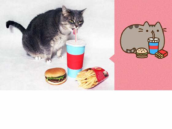 pusheen irl