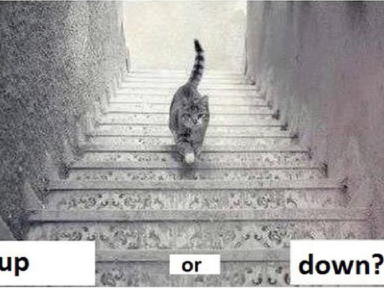 Up or douwn?