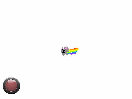 nyan cat