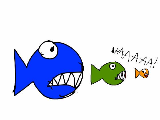 chomp fish