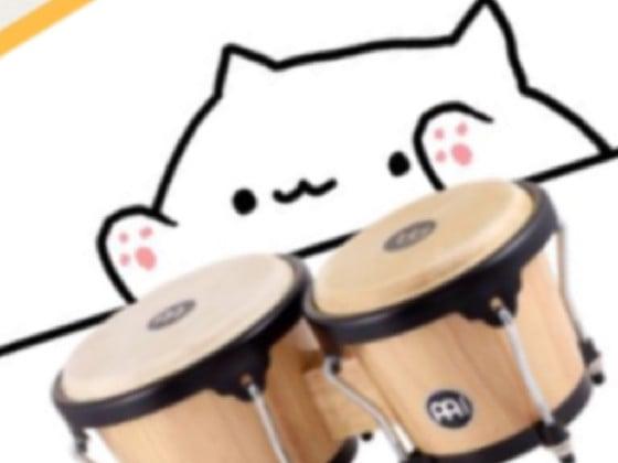 cat plays drums