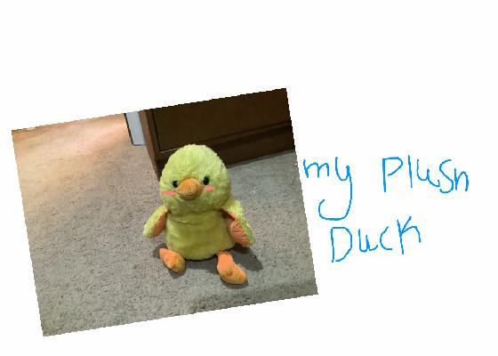 my duck