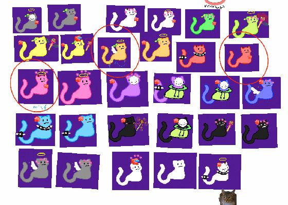 pick a cat pet